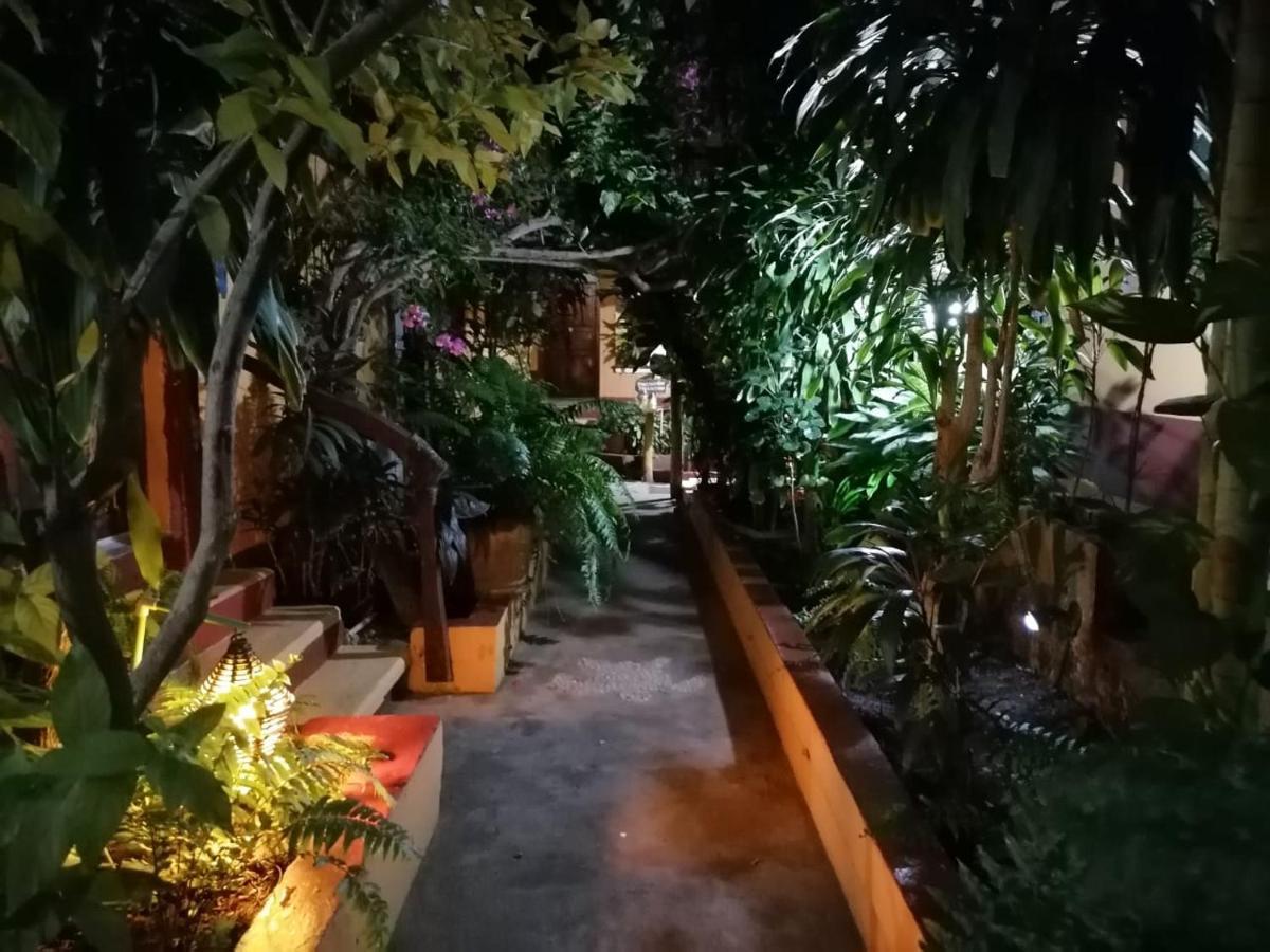 Hotel La Cabana Puerto Angel Ngoại thất bức ảnh