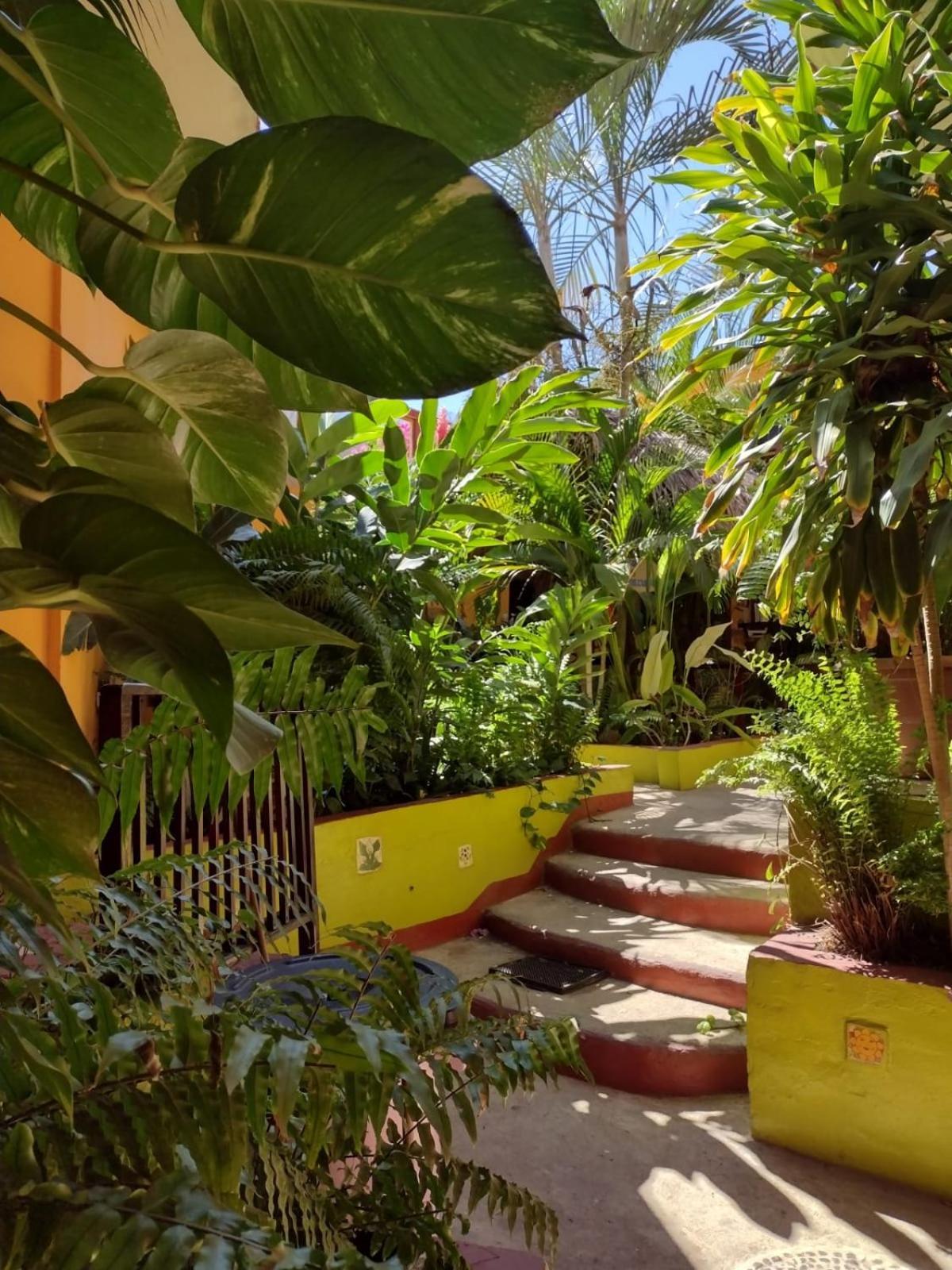 Hotel La Cabana Puerto Angel Ngoại thất bức ảnh