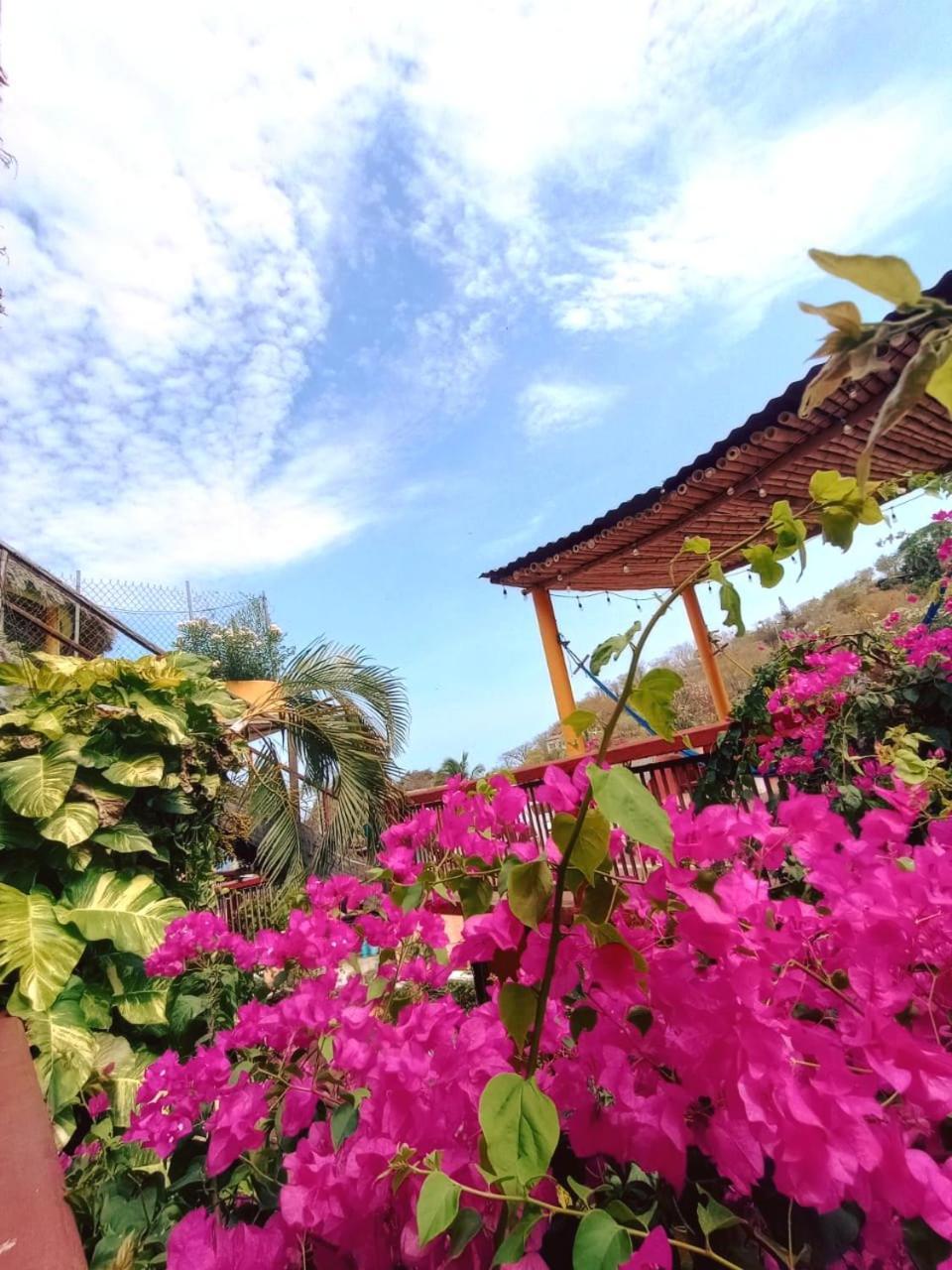 Hotel La Cabana Puerto Angel Ngoại thất bức ảnh